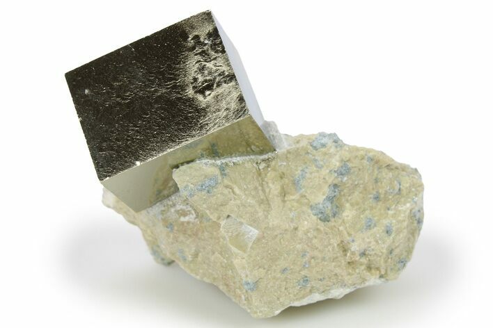 Two Natural Pyrite Cubes In Rock - Navajun, Spain #265313